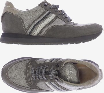 Luis Trenker Sneaker 38 in Grau: predná strana