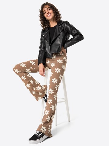 Daisy Street Flared Pants in Brown