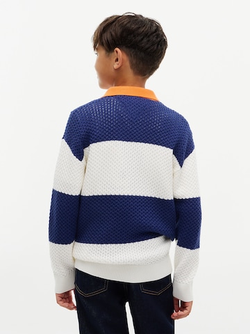 TOMMY HILFIGER Sweater in Blue