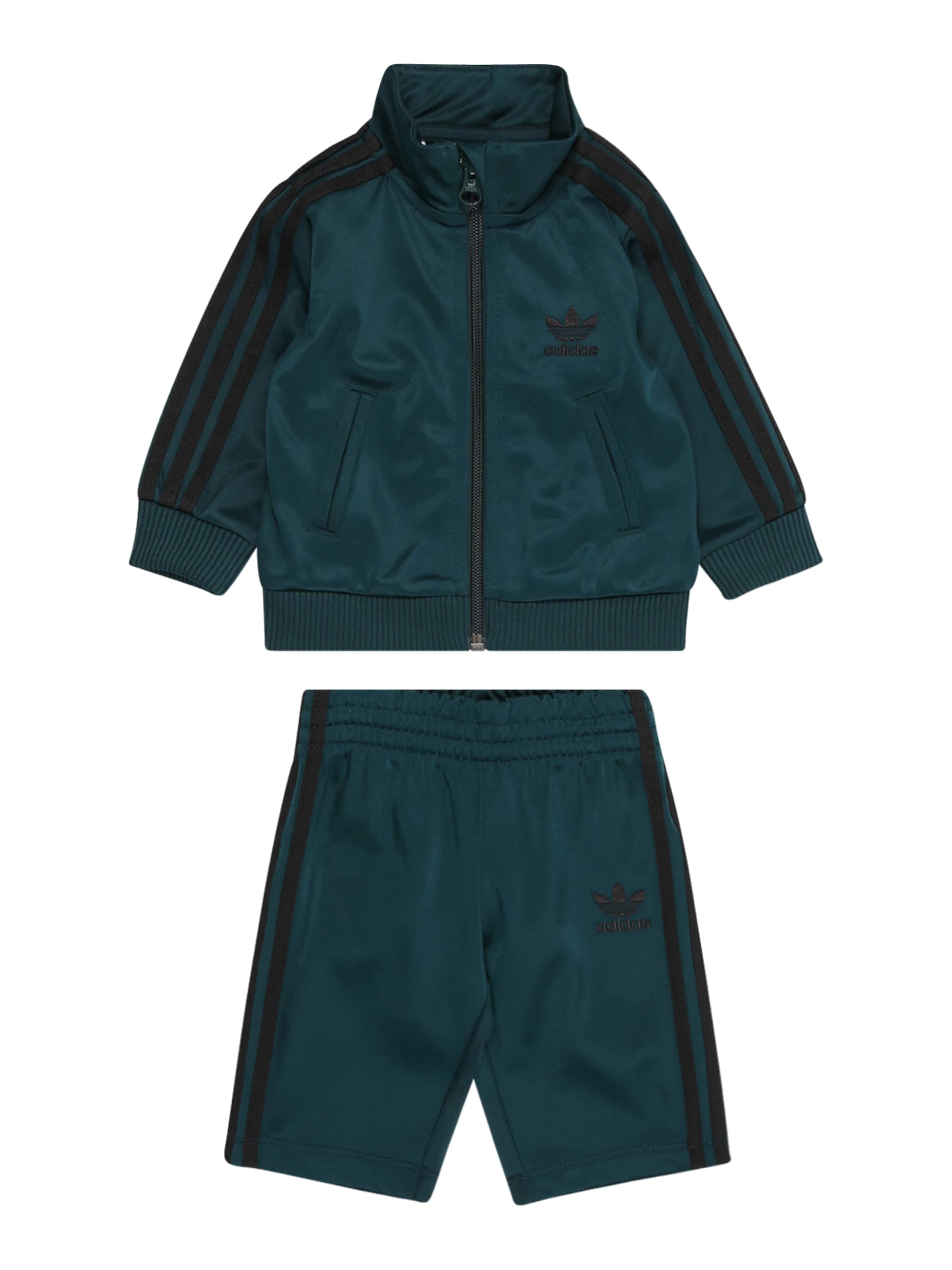 Survêtement &#x27;Adicolor Firebird&#x27; ADIDAS ORIGINALS en vert : devant