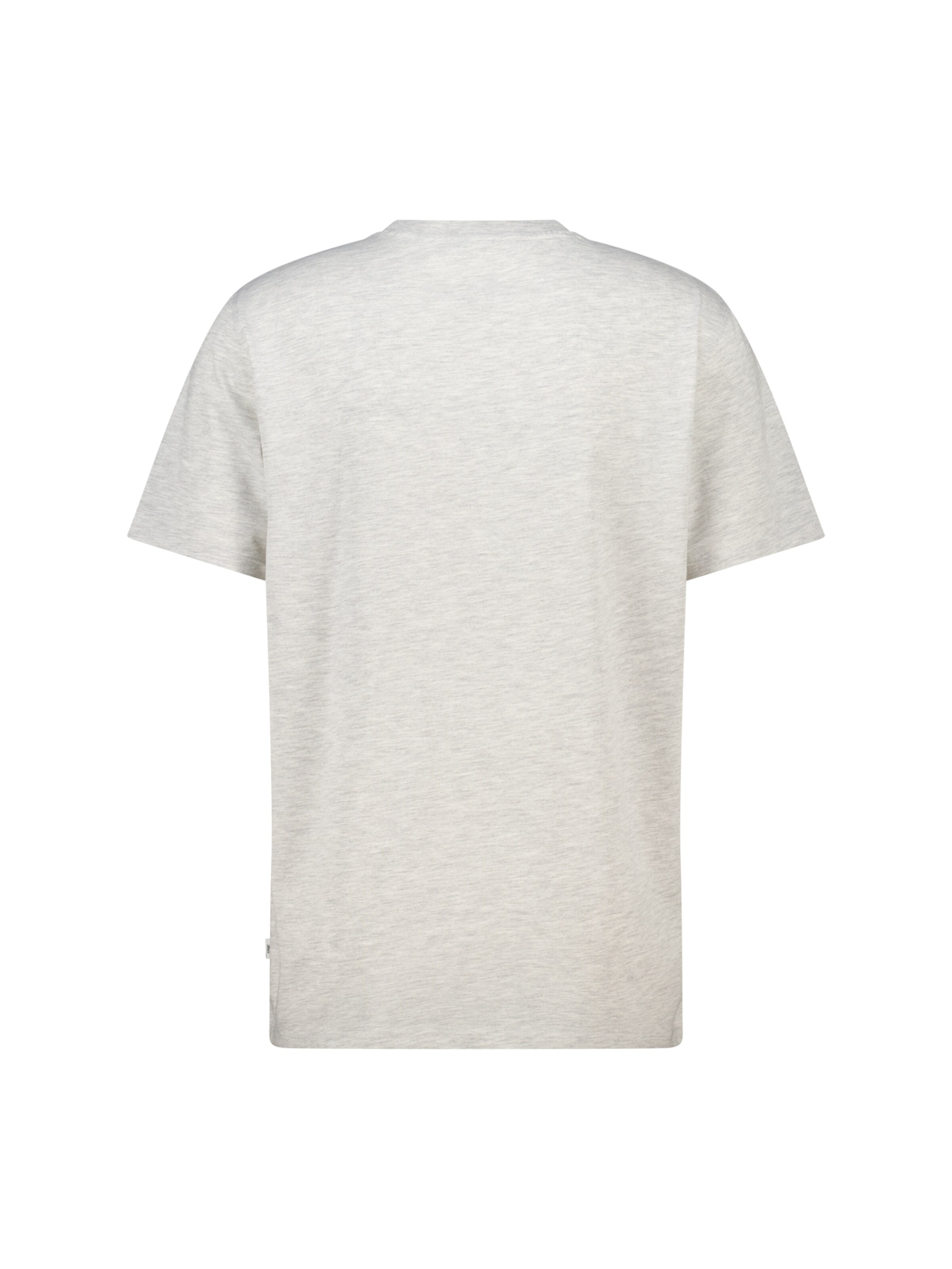 America Today Shirt in Grijs