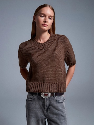 Pullover 'Pullover' di Dilvin in marrone: frontale