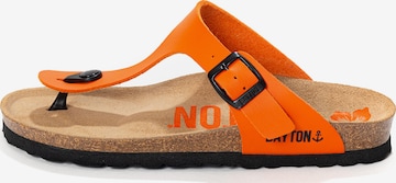 Bayton Japonke 'MERCURE' | oranžna barva: sprednja stran