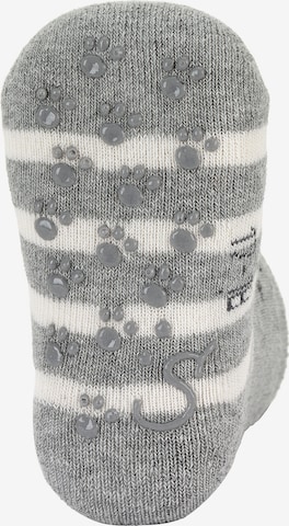 Regular Chaussettes 'Bär' STERNTALER en bleu