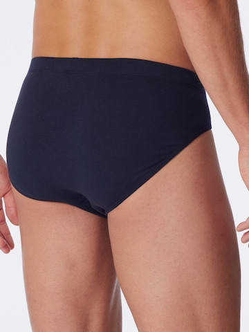 SCHIESSER Panty ' UNCOVER Cotton ' in Blue