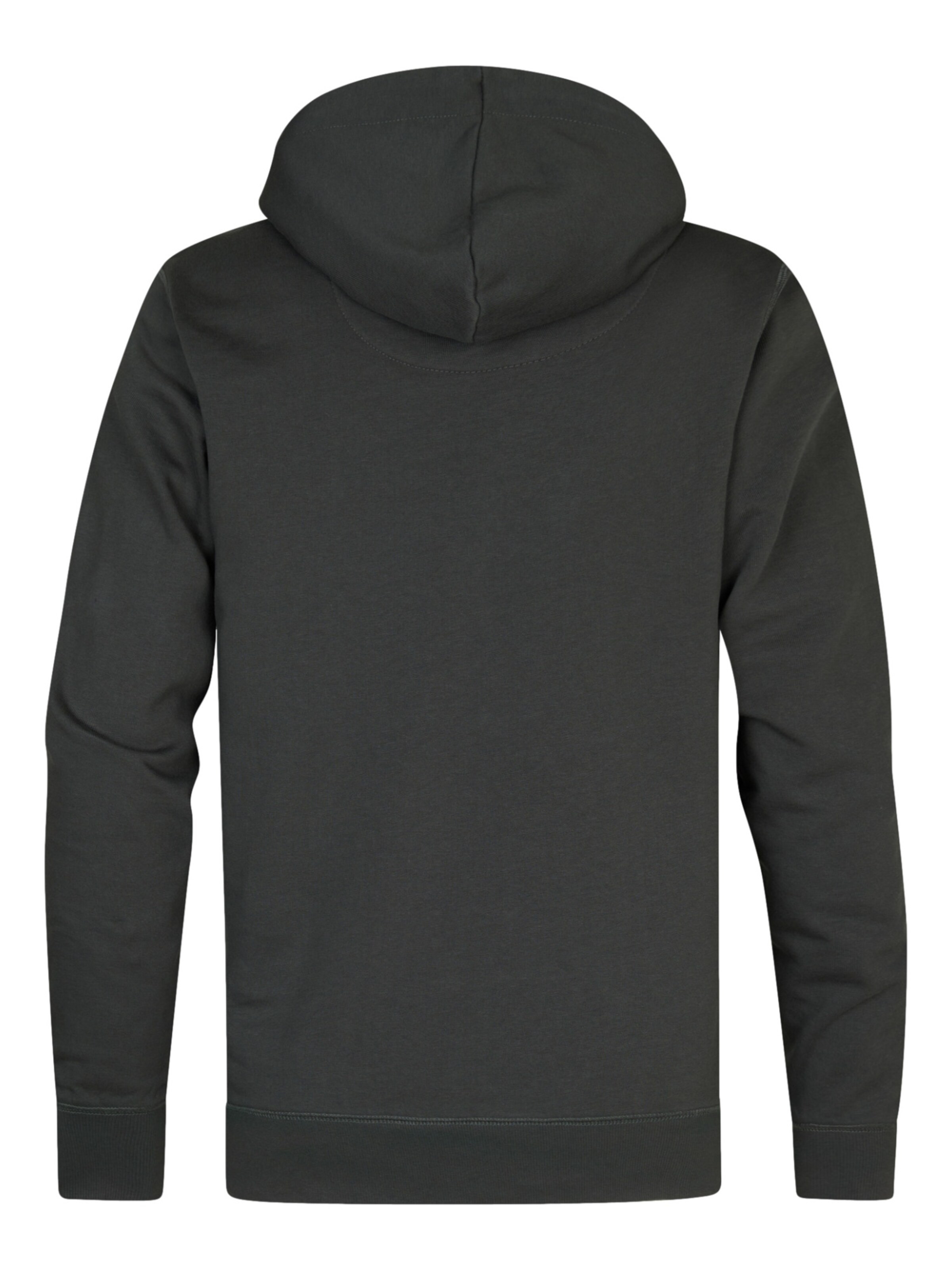 Petrol Industries Sweatshirt i grå