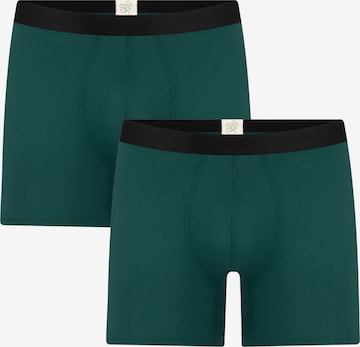 Albero Natur Long Johns 'Bio-Baumwoll-Herren Long Trunks - 2er Pack' in Green: front