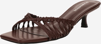 GLAMOROUS Ādas čības, krāsa - tumši brūns, Preces skats