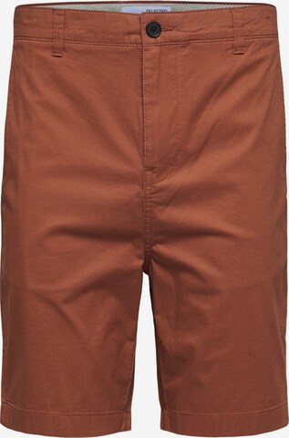 SELECTED HOMME Chino Pants in Brown: front