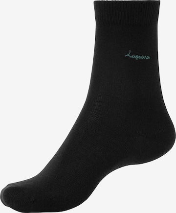 LASCANA Къси чорапи в черно