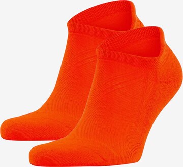 Chaussettes FALKE en orange : devant