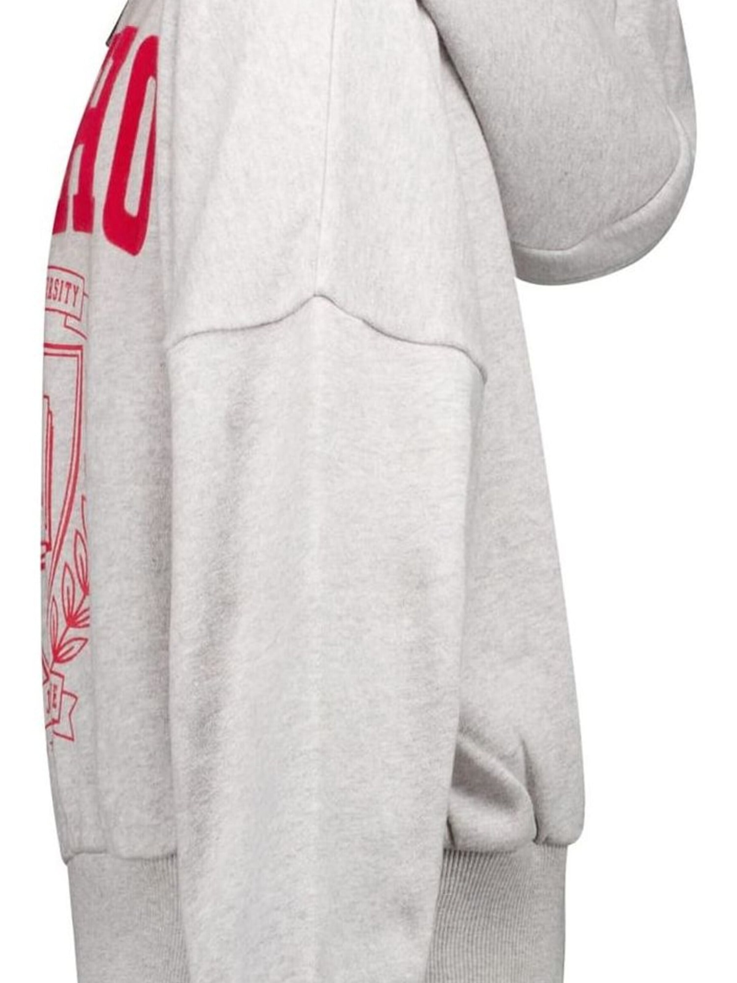 CARS Sweater in Grey