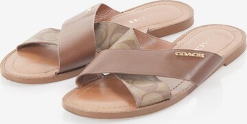 COACH Sandals & High-Heeled Sandals in 39 in Brown: front