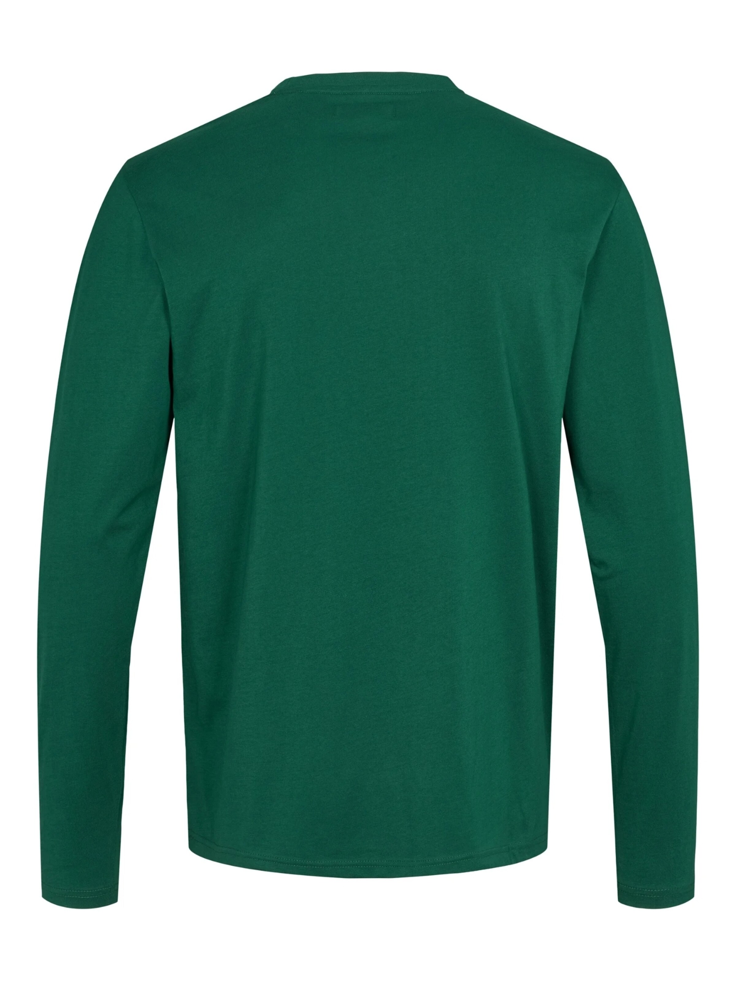 U.S. POLO ASSN. Shirt 'Brolin' in Groen
