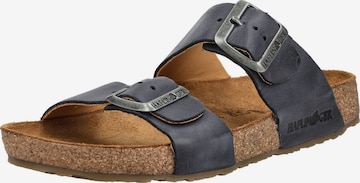 Mule HAFLINGER en bleu : devant