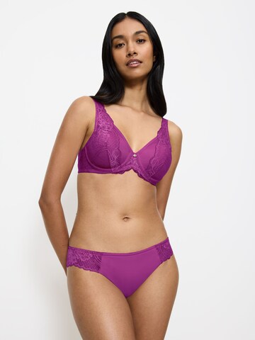 TRIUMPH Slip in Purple: front