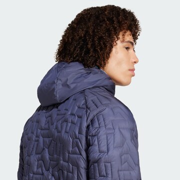 Veste outdoor 'Xperior PrimaLoft' ADIDAS TERREX en bleu