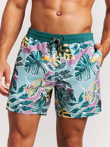 PROTEST Board Shorts 'PRTRayger' in Purple: front