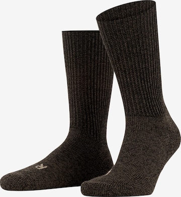 FALKE Socken 'Walkie Ergo' in Braun: Vorderseite