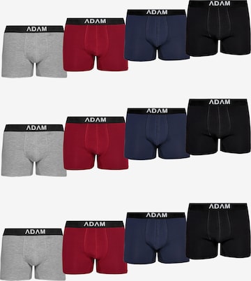Adam Boxer shorts '12er Pack' in Blue: front
