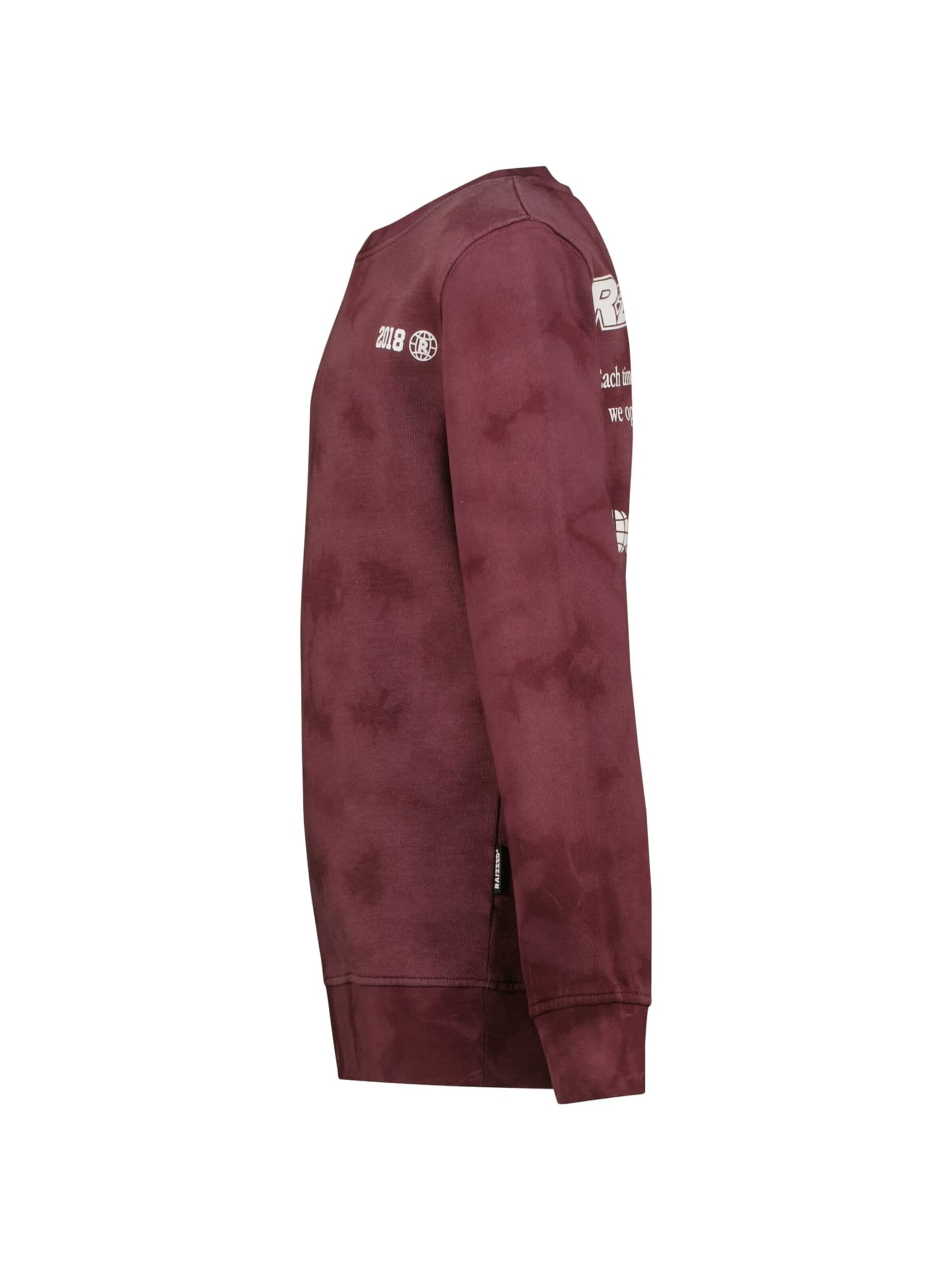 Raizzed Sweatshirt in Lila