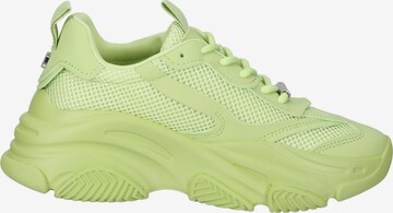 STEVE MADDEN Sneakers in Green