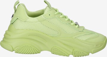 STEVE MADDEN Sneakers laag in Groen