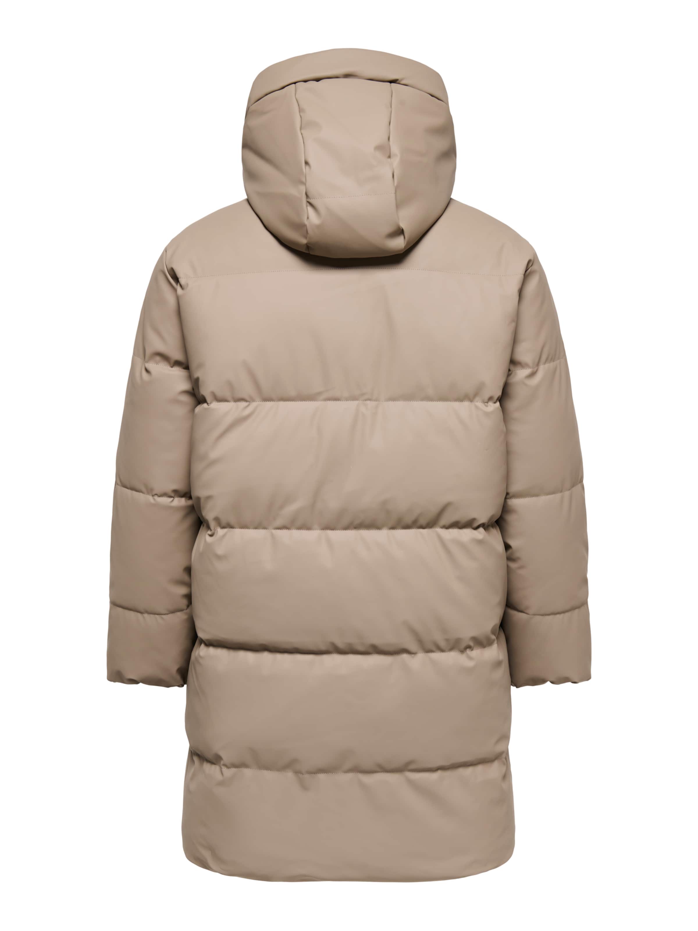 ONLY Carmakoma Winter coat in Brown
