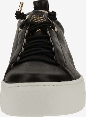 Paul Green Sneakers laag 'Mastercalf' in Zwart