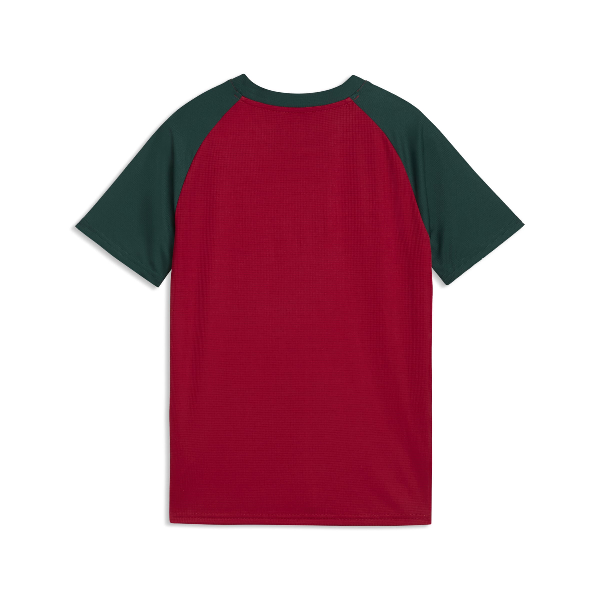 PUMA Functioneel shirt 'Marokko' in Rood
