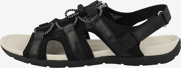 CAPRICE Hiking Sandals in Black: front