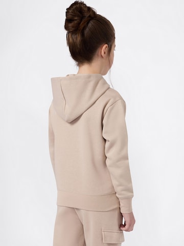 Champion Authentic Athletic Apparel Sweatshirt in Brown