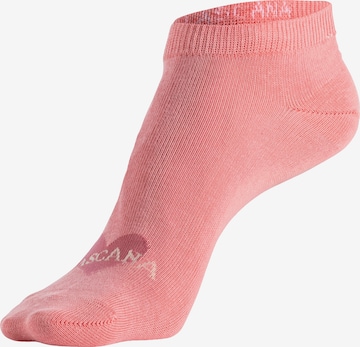 LASCANA Socks in White