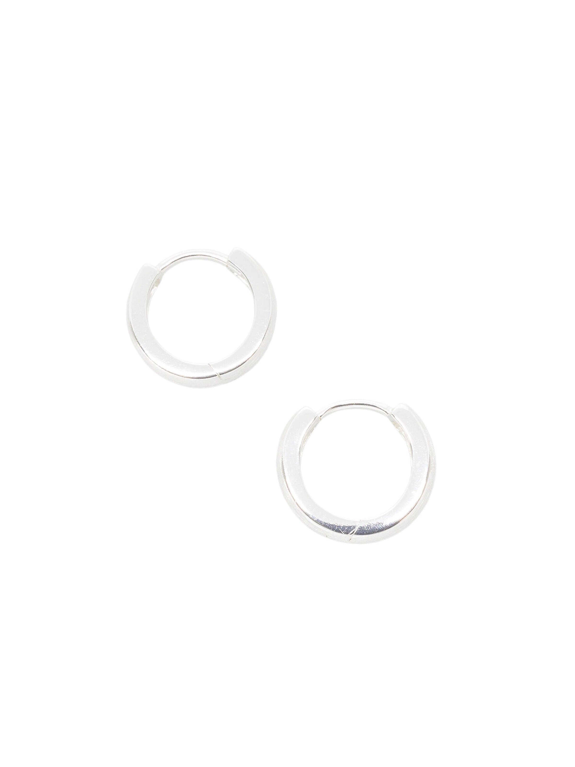 fejn Earrings in Silver: front