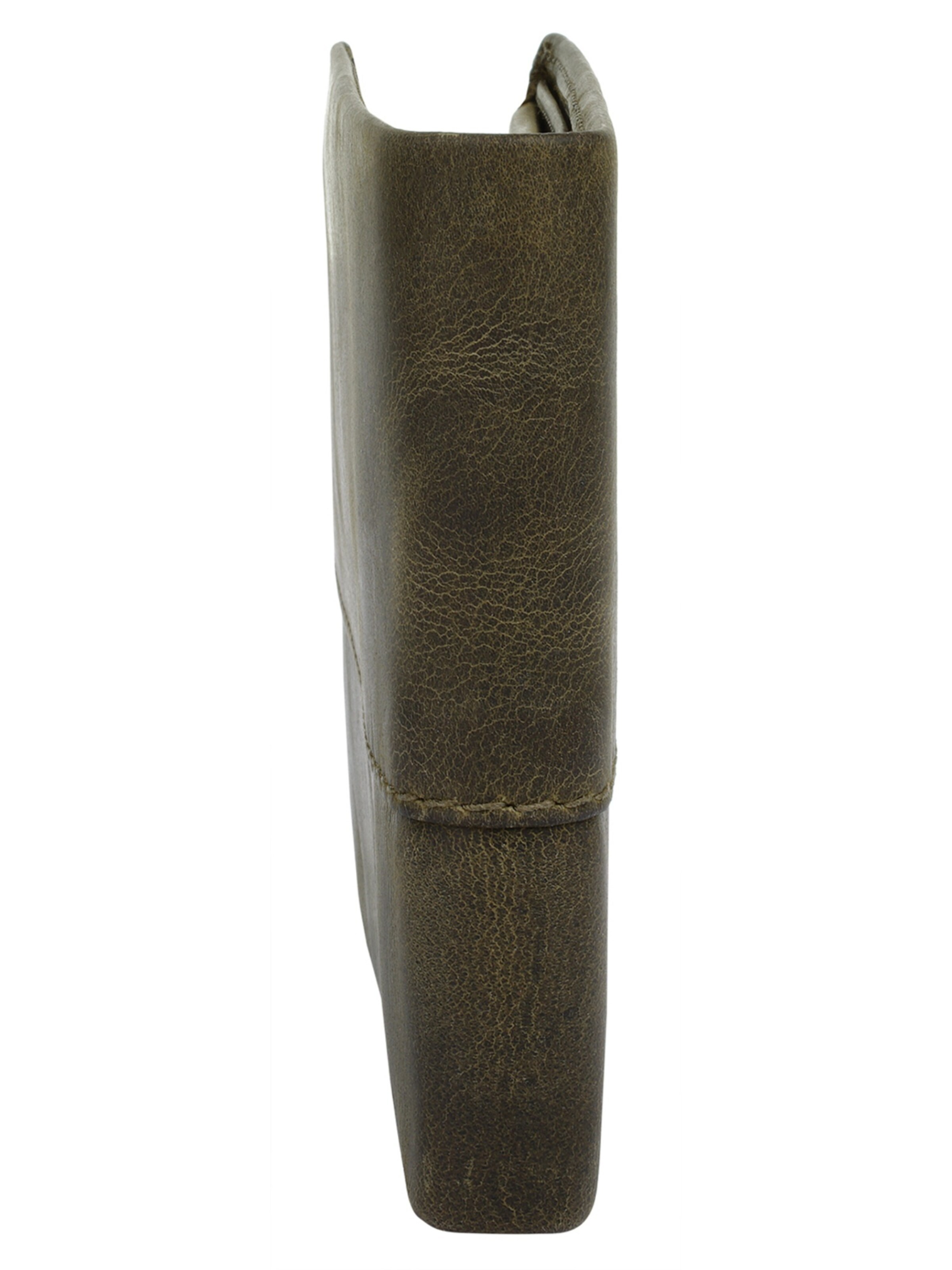 CHIEMSEE Wallet in Green