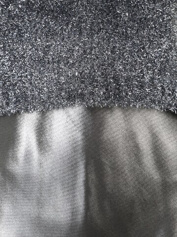 AllSaints Kleid 'Rosetta' in Silber