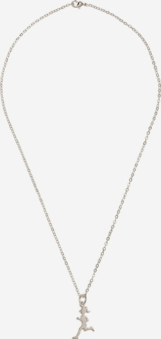 Gemshine Necklace in Silver: front