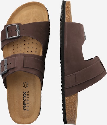 GEOX Mules 'Ghita' in Brown