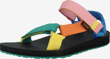 Sandales 'Original Universal' TEVA en mélange de couleurs : devant