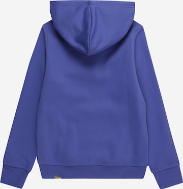 THE NORTH FACE Sport sweatshirt 'DREW PEAK' i blå