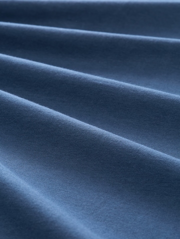 TOM TAILOR Men + Shirt in Blue