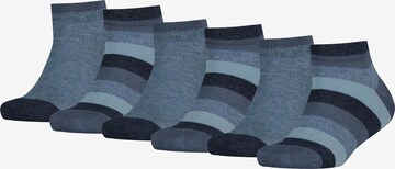 TOMMY HILFIGER Socks in Blue: front