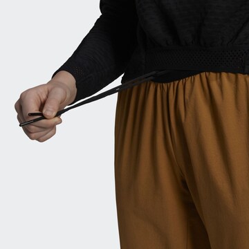 Loosefit Pantalon outdoor 'Liteflex' ADIDAS TERREX en marron