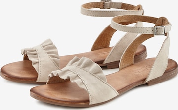 LASCANA Sandalen met riem in Beige