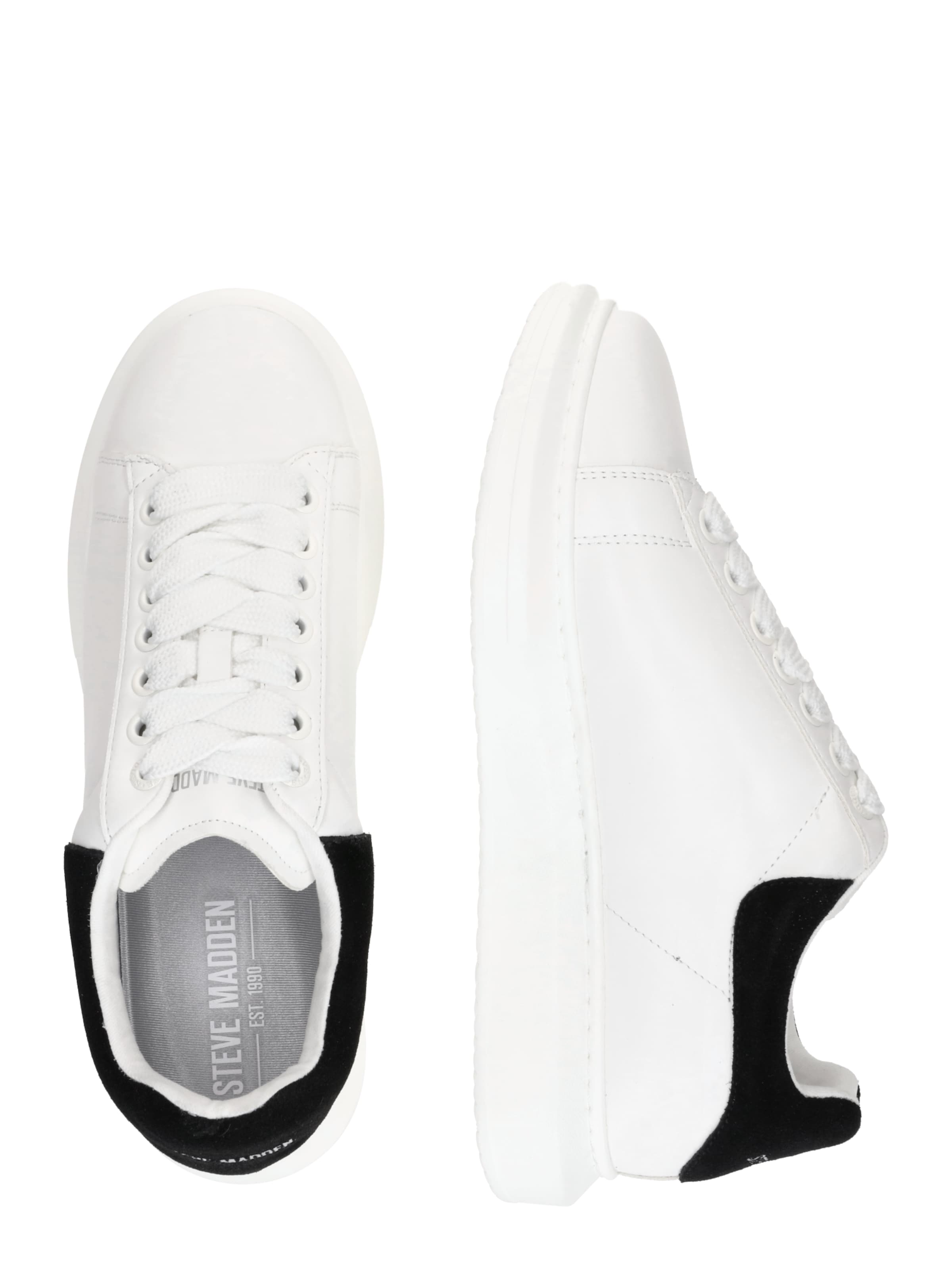 Baskets basses 'Iccey' STEVE MADDEN en blanc
