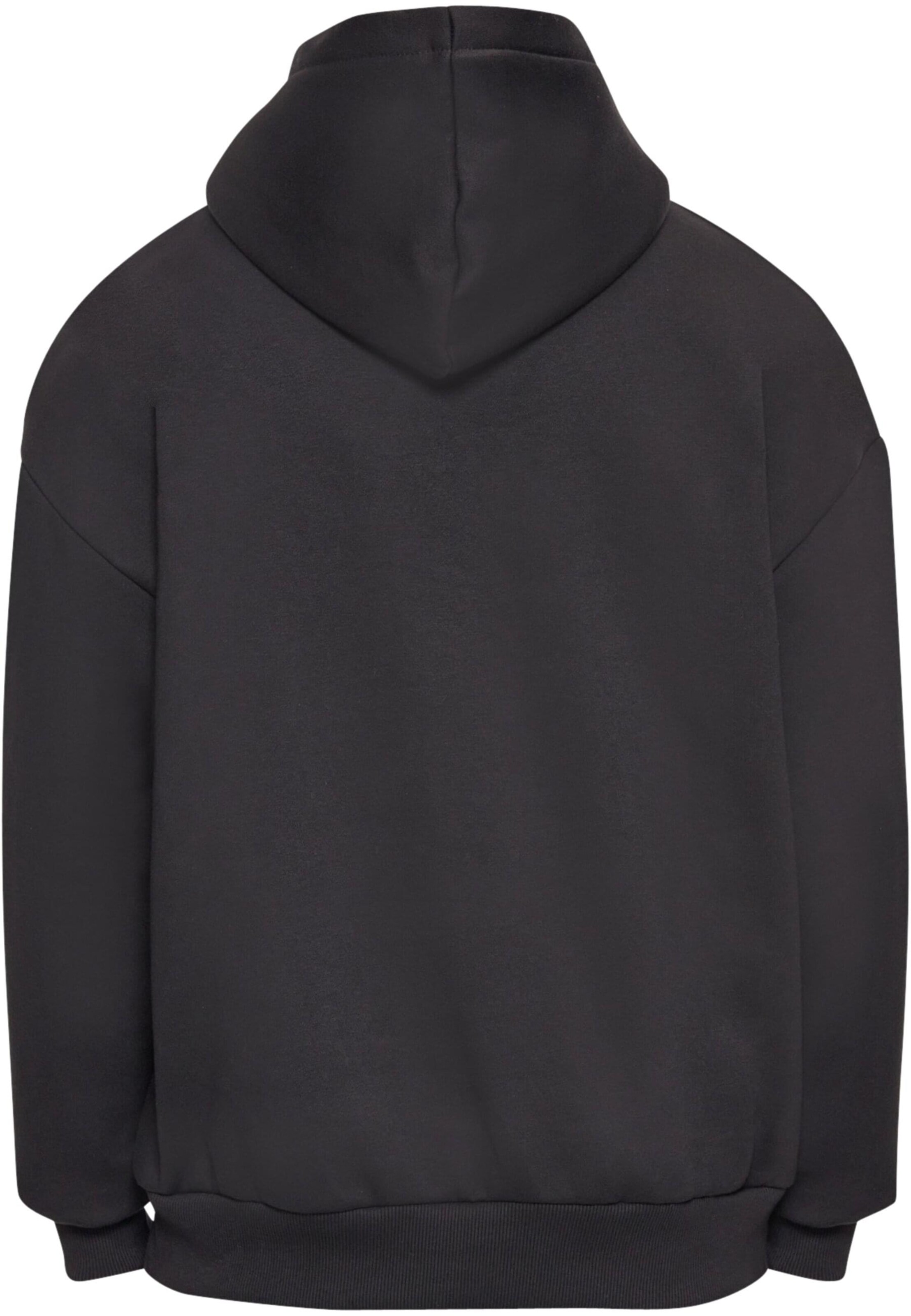 Dropsize Sweatshirt 'Dropsize' in Zwart