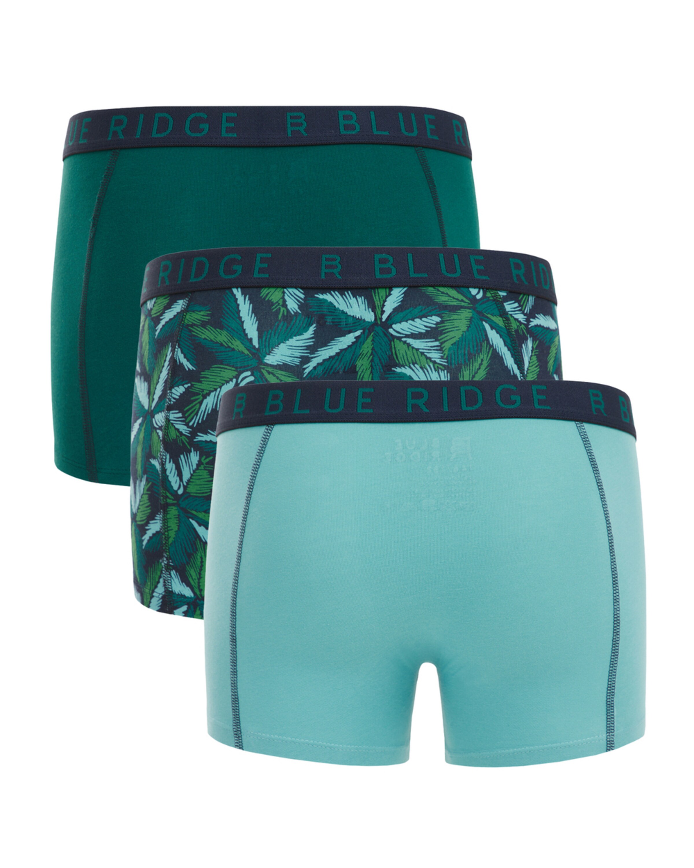 WE Fashion Underpants in Green