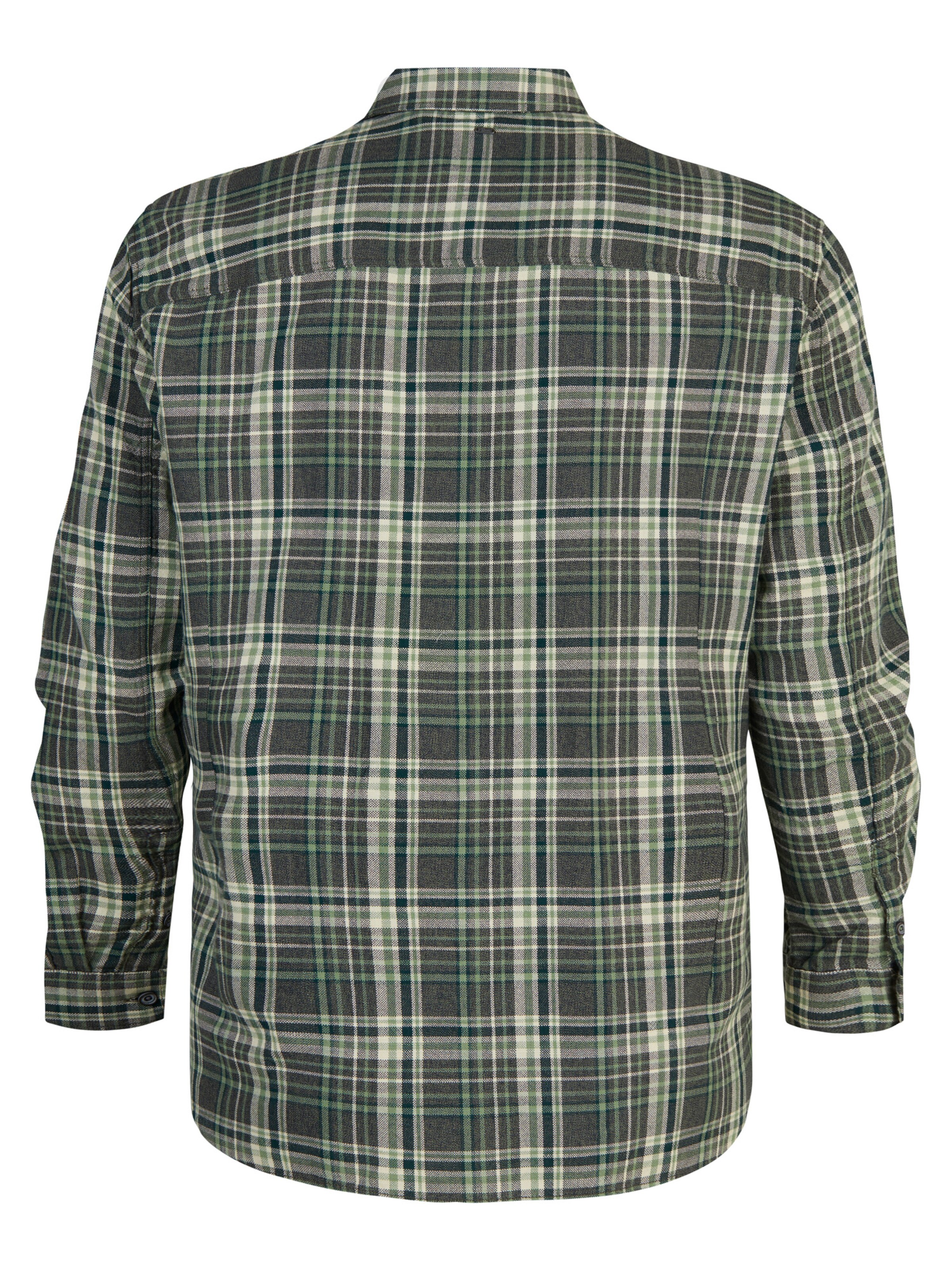 Petrol Industries Regular fit Πουκάμισο 'Bristol' σε πράσινο