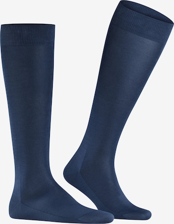 FALKE Knee High Socks 'Tiago' in Blue: front