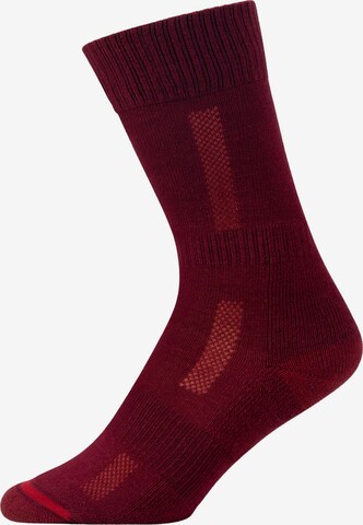 SNOCKS Socks in Red: front